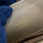 Louis Vuitton Utility Crossbody M80446 Brown